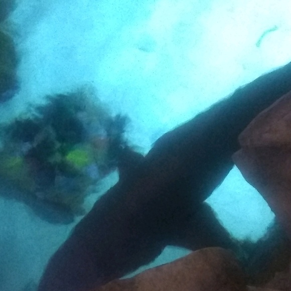 Meet your Posher, Michael - Picture 1 of 1